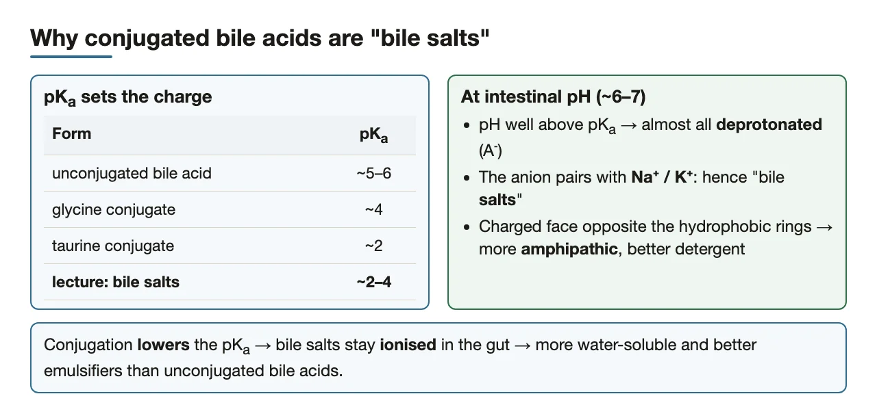 Low pKa keeps conjugated bile acids ionised: Na⁺/K⁺ bile salts