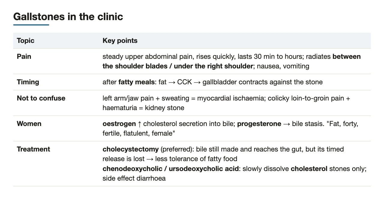 Pain pattern, meal timing, mimics, female hormones, treatment choices