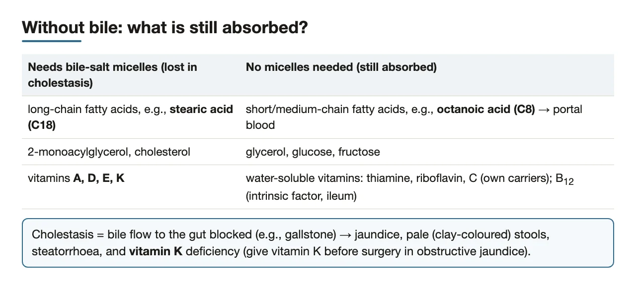 What still gets absorbed without bile: C8 yes, C18 and vitamin K no