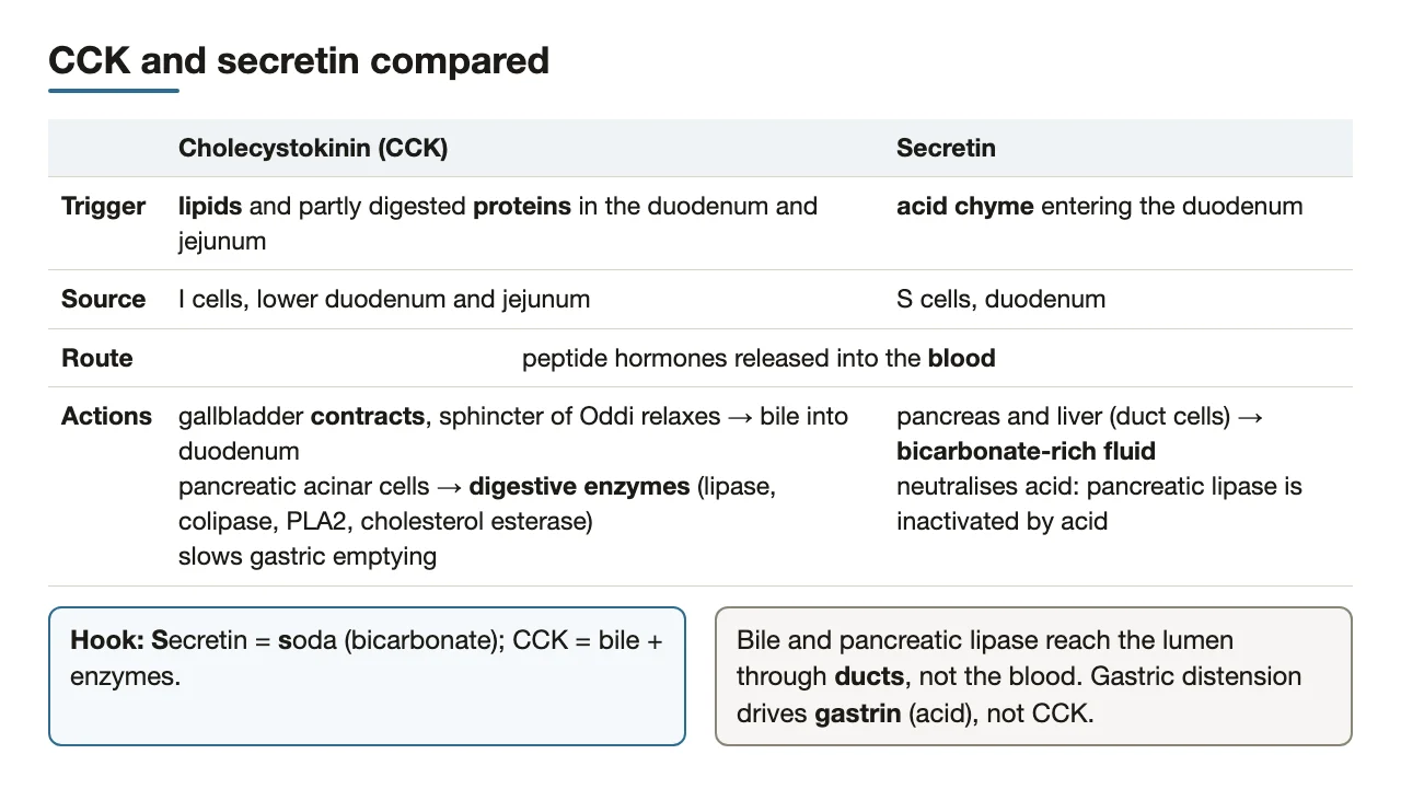 CCK vs secretin side by side: trigger, cell, route, actions