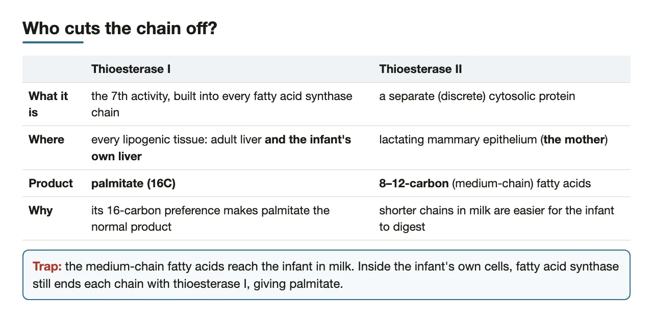 Thioesterase I (every FAS, including infant liver) versus thioesterase II (mother's mammary gland).