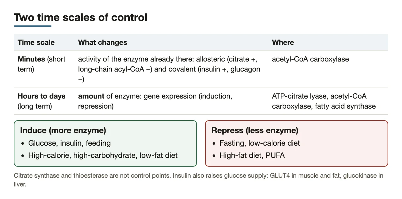 Minutes versus days: enzyme activity (ACC) versus enzyme amount (three enzymes).