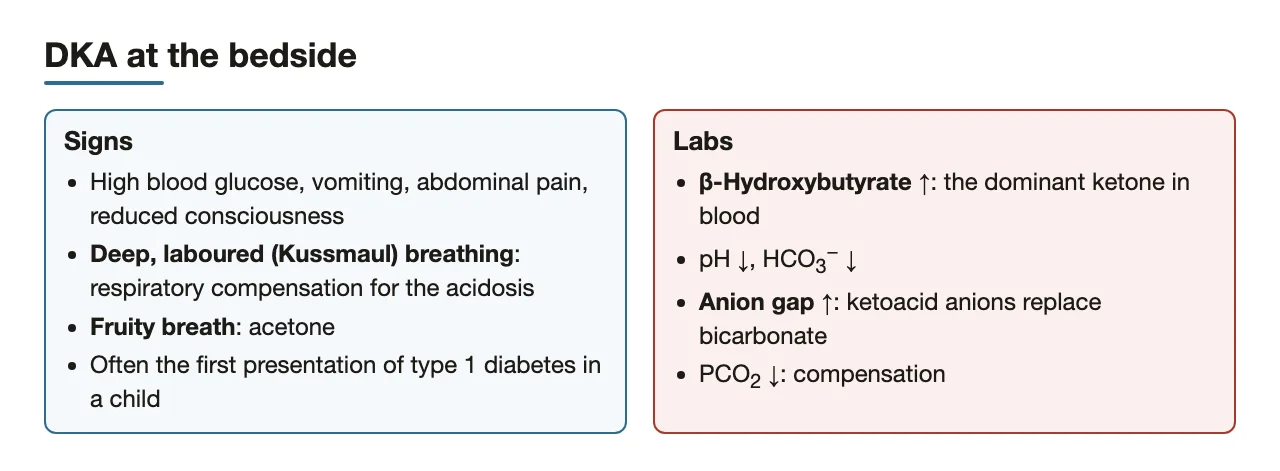 DKA signs and labs: Kussmaul breathing, fruity breath, high β-hydroxybutyrate and anion gap