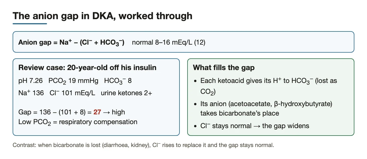 Worked DKA anion gap: 136 − (101 + 8) = 27, filled by ketoacid anions