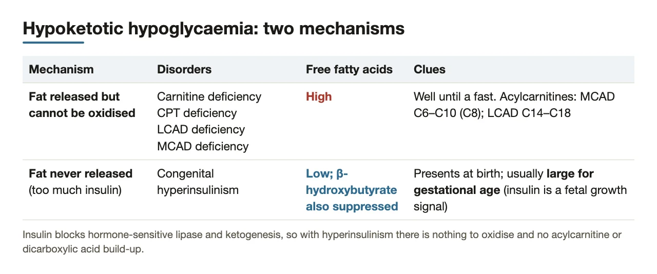 Two routes to hypoketotic hypoglycaemia: oxidation block vs congenital hyperinsulinism