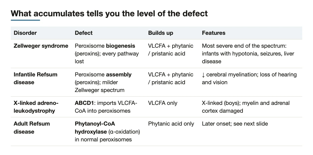 Whole-organelle vs single-protein defects, told apart by what accumulates