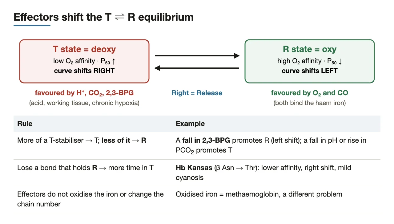 T-stabilisers shift right, R-stabilisers shift left; a fall in 2,3-BPG and Hb Kansas worked out.