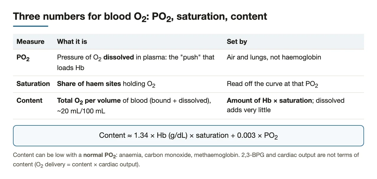 Section map: PO2, saturation and content defined; content ≈ Hb amount × saturation.