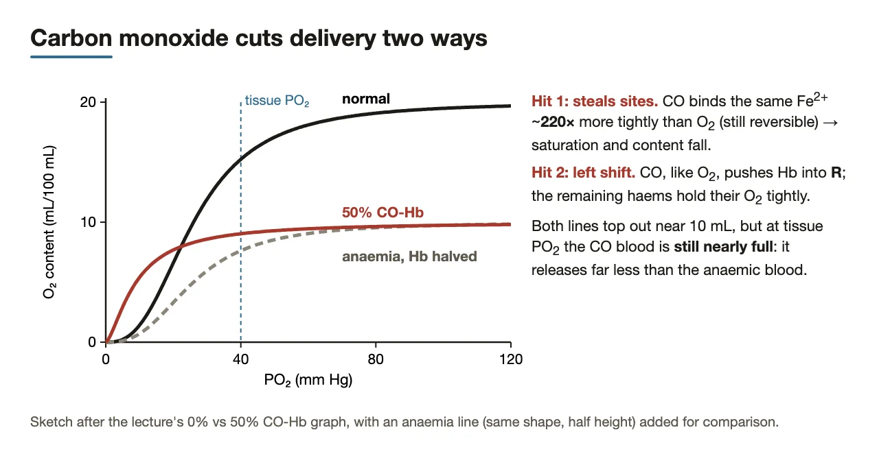 The two hits of CO on a content graph, compared with an anaemia of equal size.