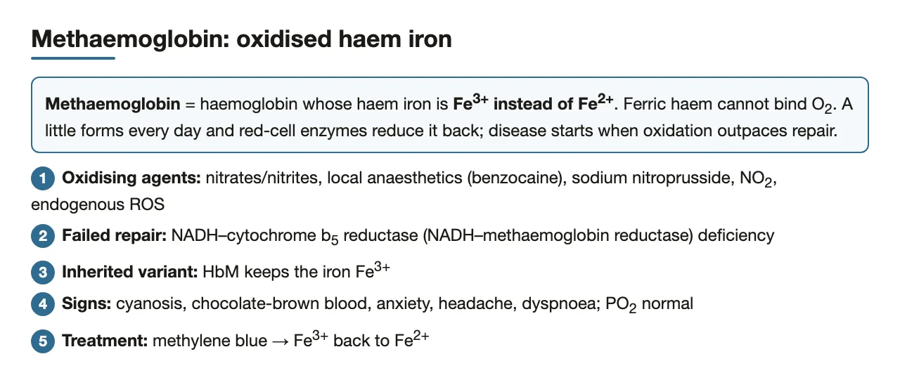 Section map: Fe3+ haem, its causes, signs, normal PO2, and methylene blue.
