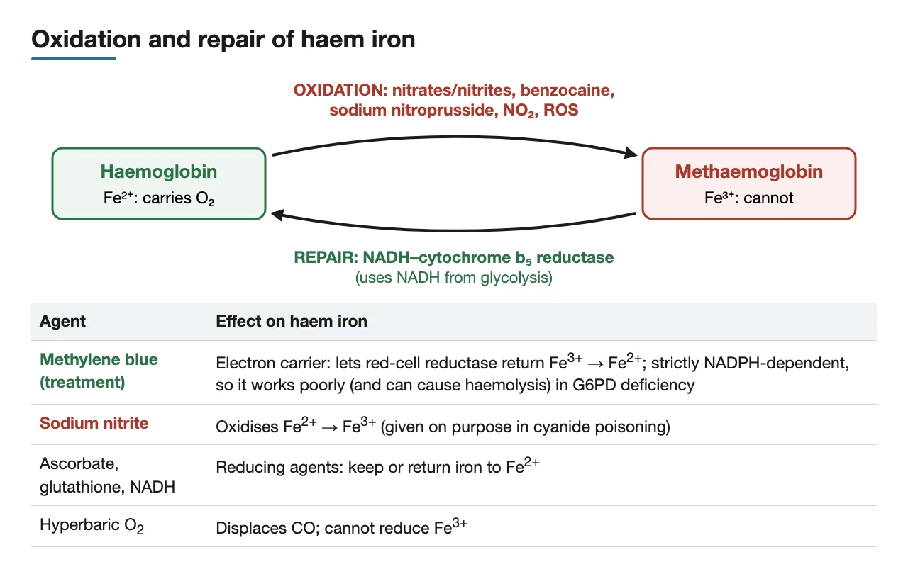 Oxidation and repair cycle; methylene blue vs sodium nitrite vs hyperbaric O2.