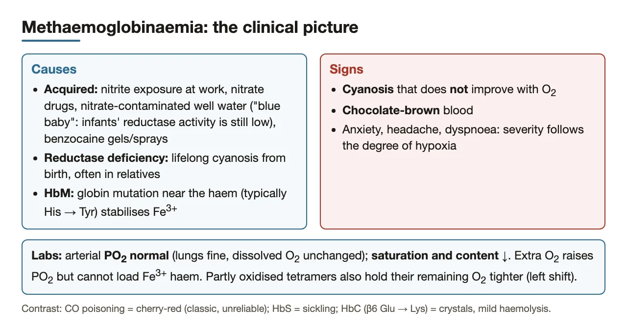 Causes, signs and lab pattern of methaemoglobinaemia: normal PO2, low saturation and content.