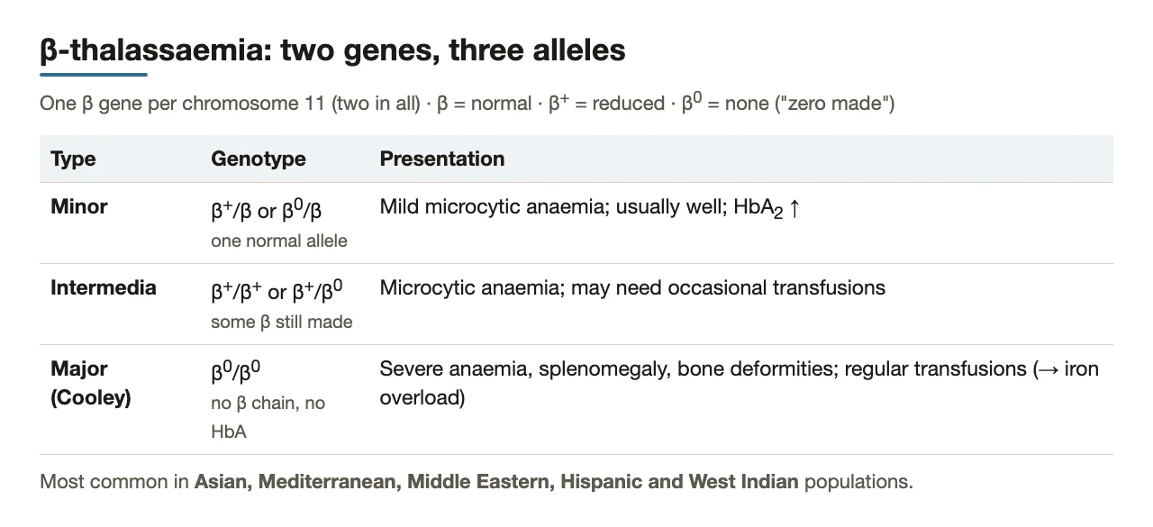 β-thalassaemia minor, intermedia, major: genotypes and presentation; high-risk populations