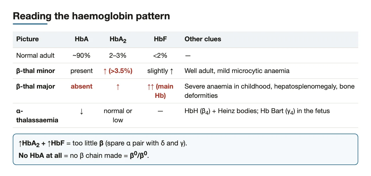 Electrophoresis patterns: ↑HbA2 + ↑HbF means β shortfall; no HbA means β0/β0