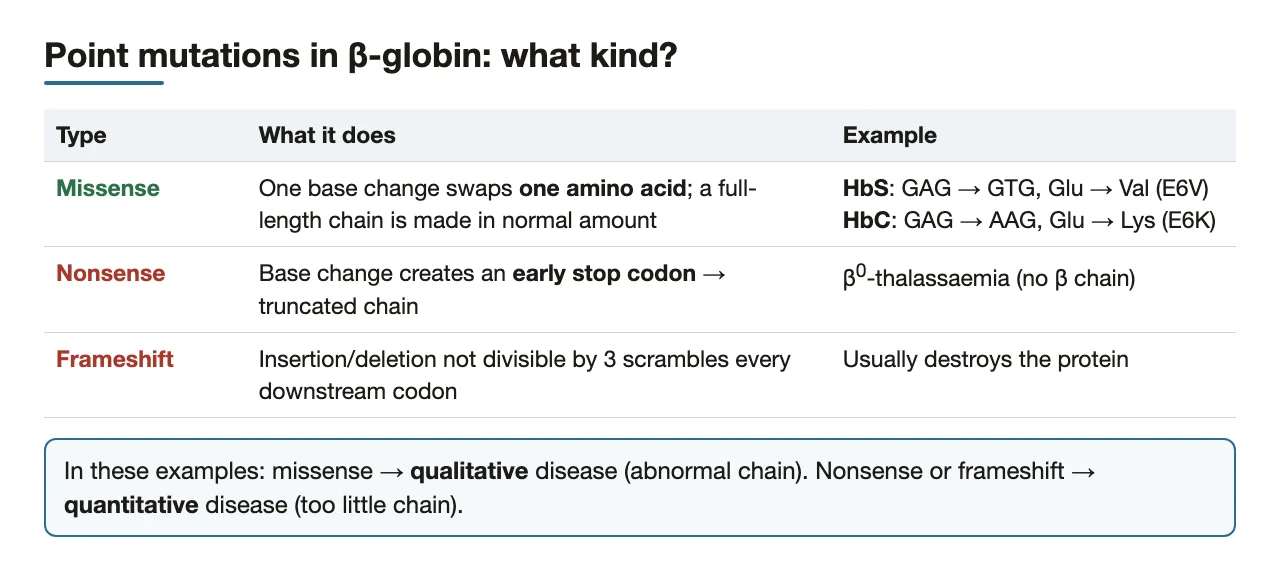 Missense vs nonsense vs frameshift: HbS and HbC are missense mutations