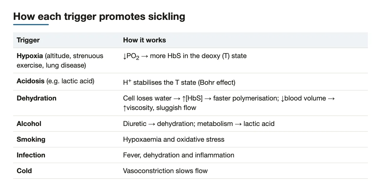 How each trigger promotes sickling, one line each