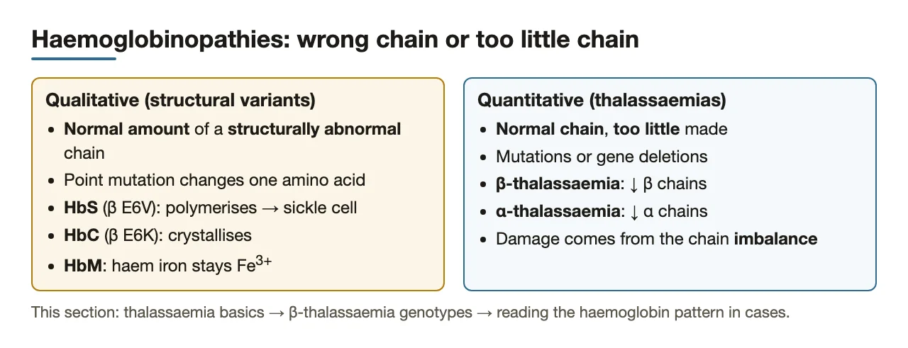 Preface: qualitative (abnormal chain) vs quantitative (too little chain) haemoglobinopathies