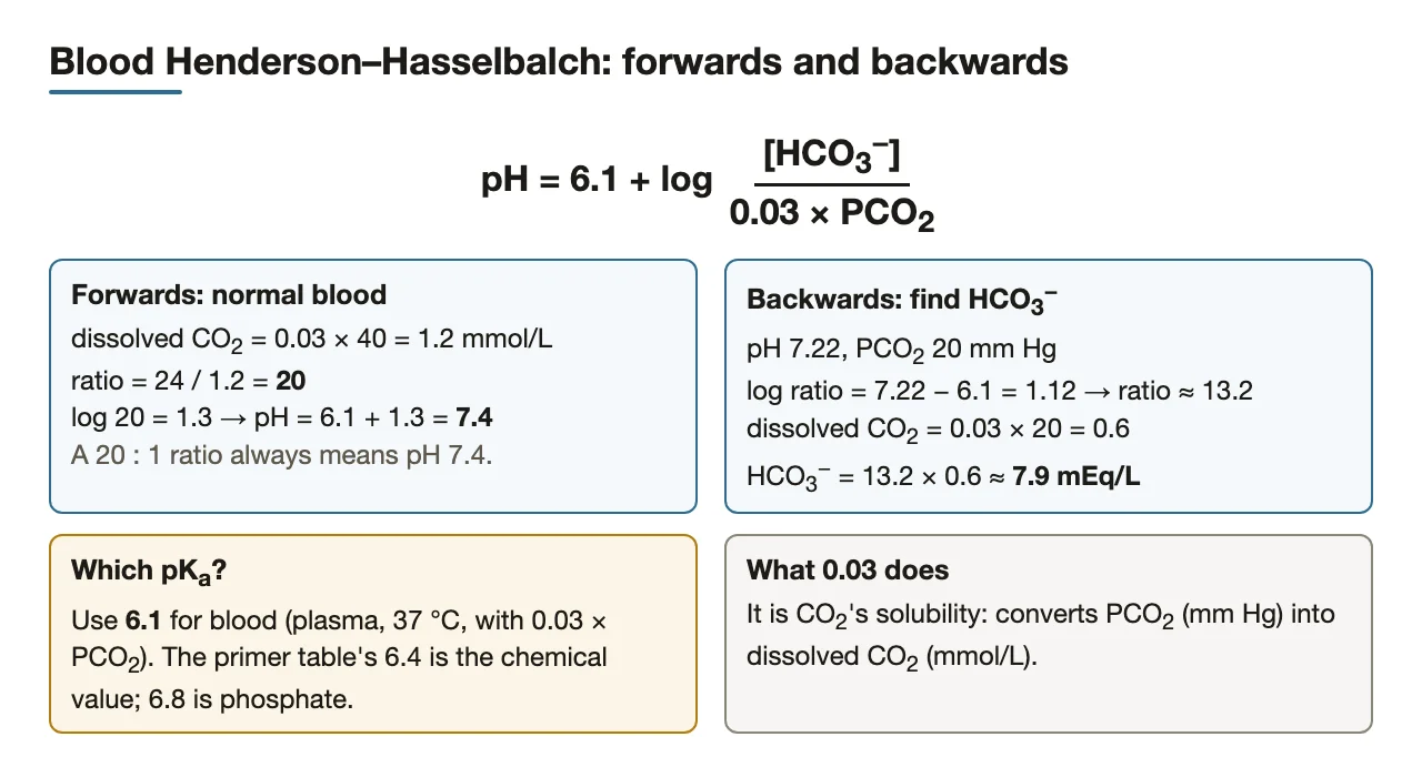 Blood HH forwards (pH 7.4) and backwards (HCO3− 7.9); use 6.1, not 6.4.