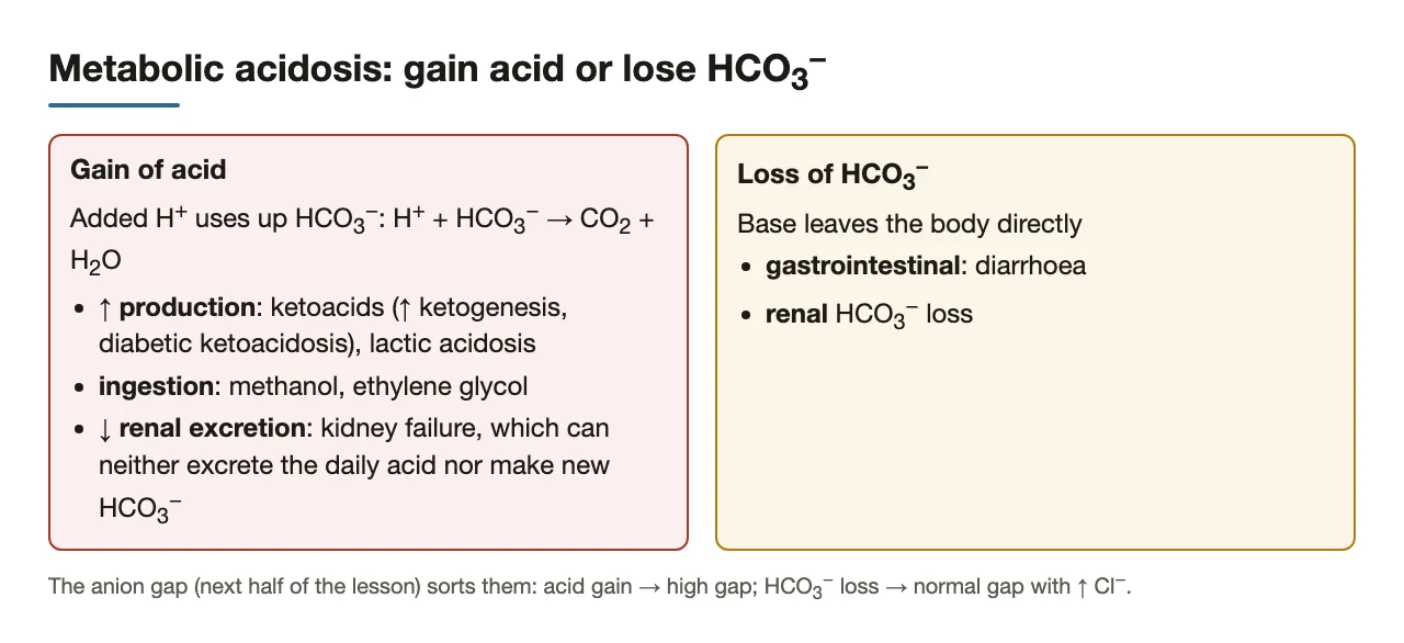 Acid gained (ketoacids, lactate, toxins, kidney failure) or HCO3− lost (diarrhoea).