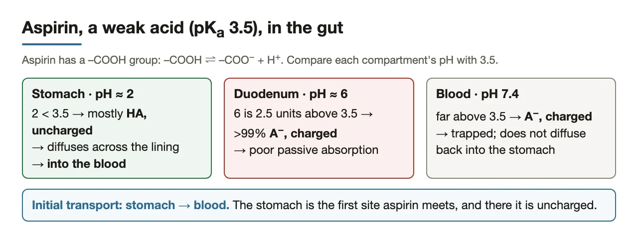 Aspirin (pKa 3.5) is uncharged in the stomach, so it moves stomach → blood.