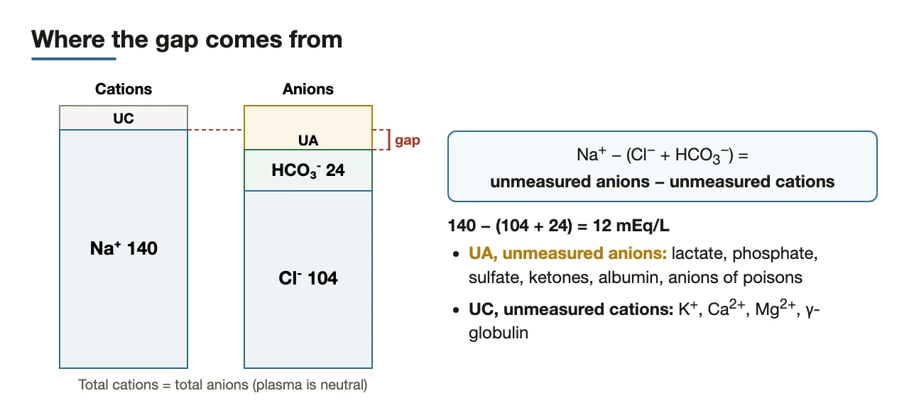 Bar diagram: the gap equals unmeasured anions minus unmeasured cations
