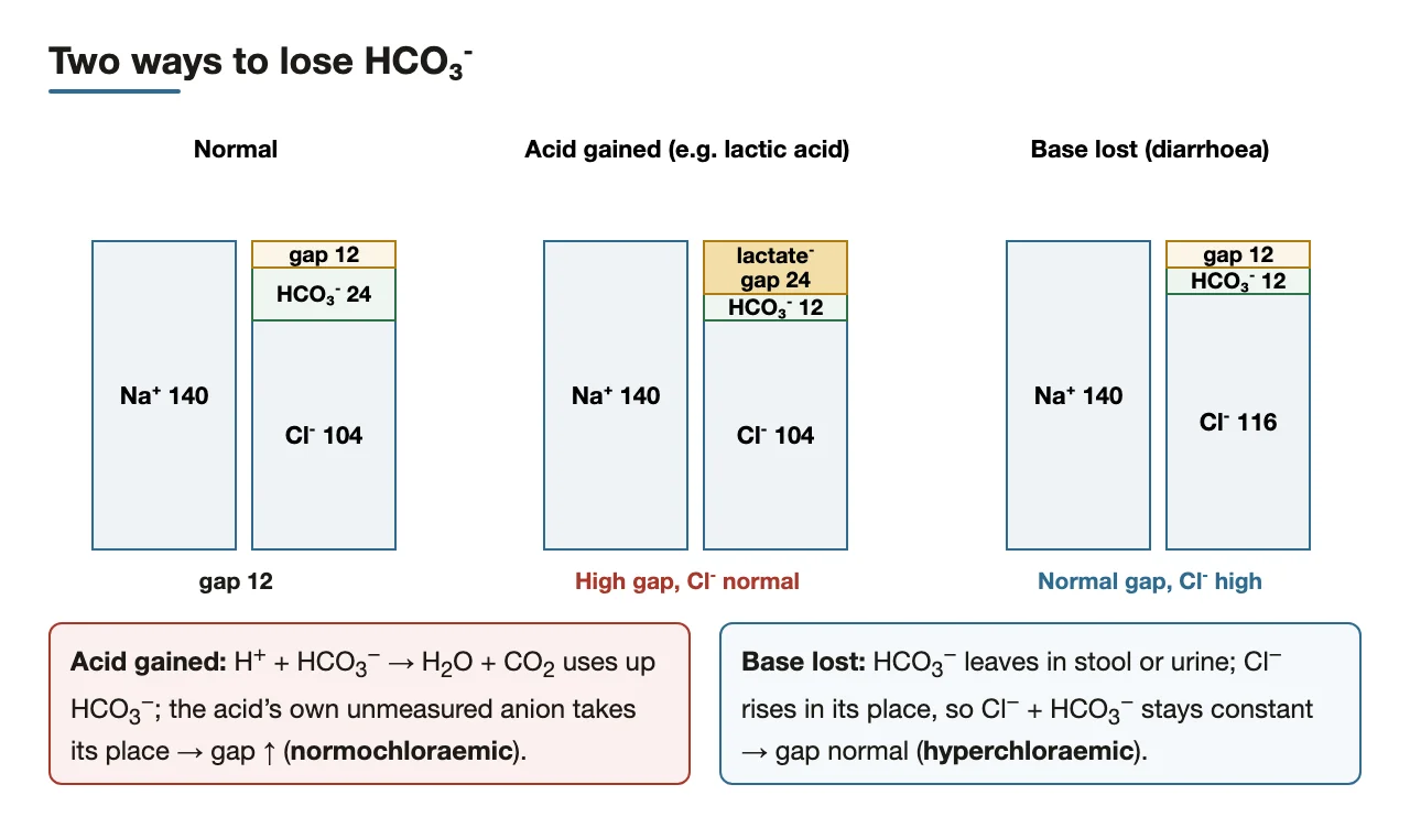 Bars compared: lactic acid raises the gap, diarrhoea raises chloride