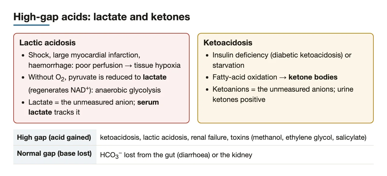 Lactic acidosis in shock vs ketoacidosis, and the two cause lists
