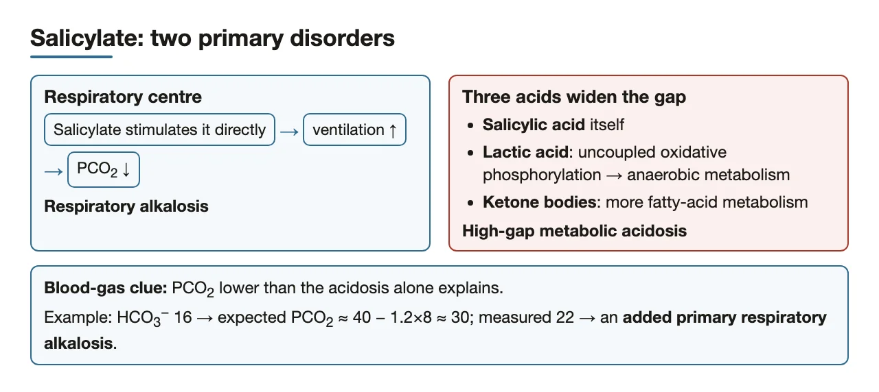 Salicylate’s two primary disorders and the blood-gas clue
