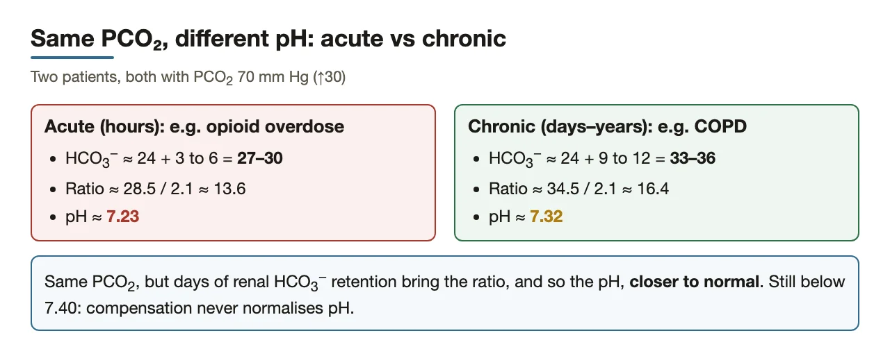 Same PCO2 of 70: acute vs chronic HCO3⁻ and pH compared