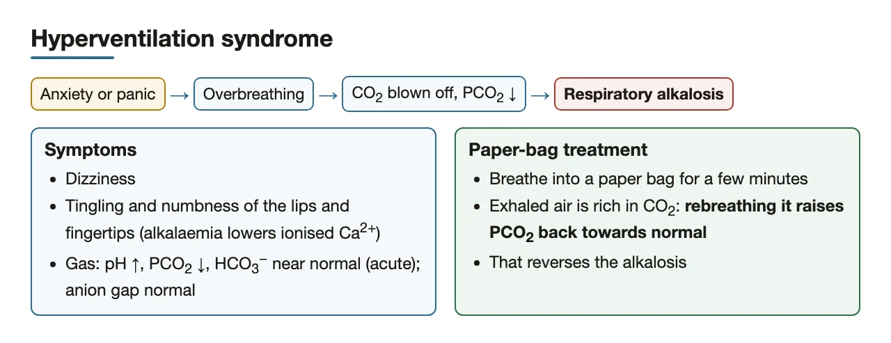 Hyperventilation syndrome: symptoms and why the paper bag works