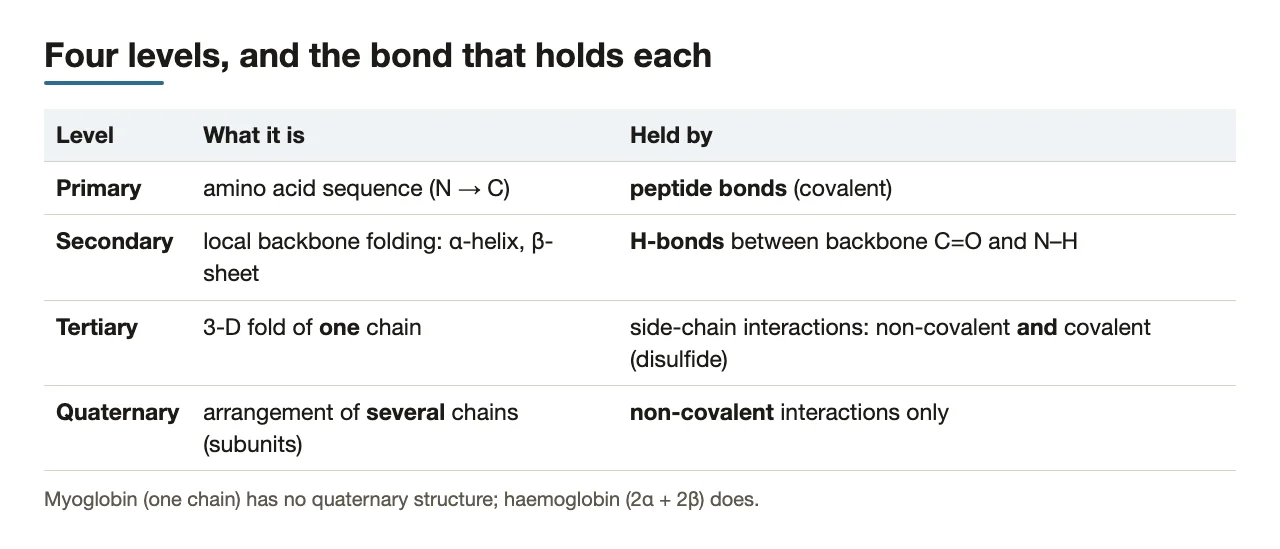 Bridge: each level with the bond that holds it
