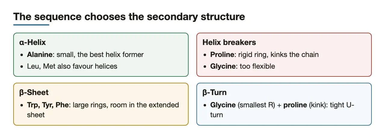 Preface: which residues favour helices, break them, build sheets and turns
