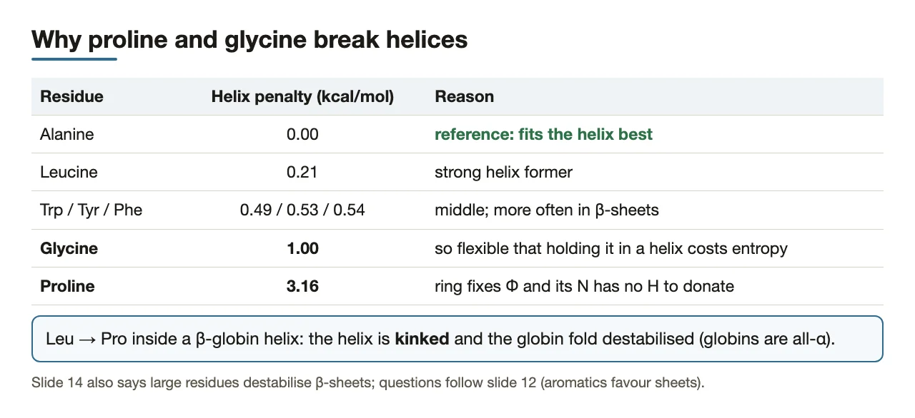 Bridge: helix penalties read off the table; Leu→Pro kinks a globin helix