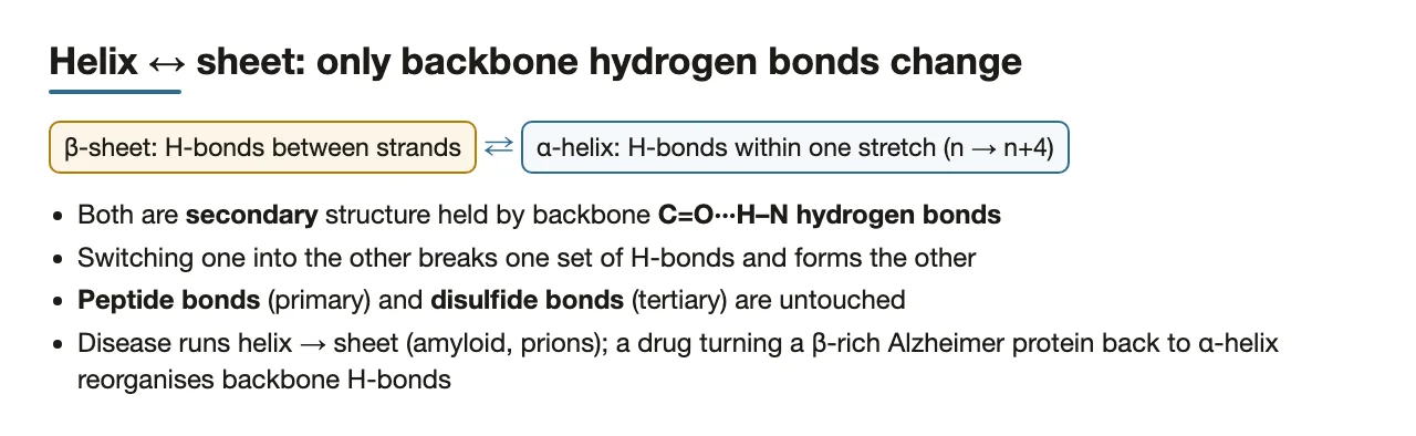 Bridge: helix-to-sheet switches rearrange only backbone hydrogen bonds