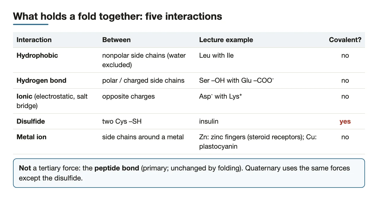 Preface: the five tertiary interactions with the lecture's example for each
