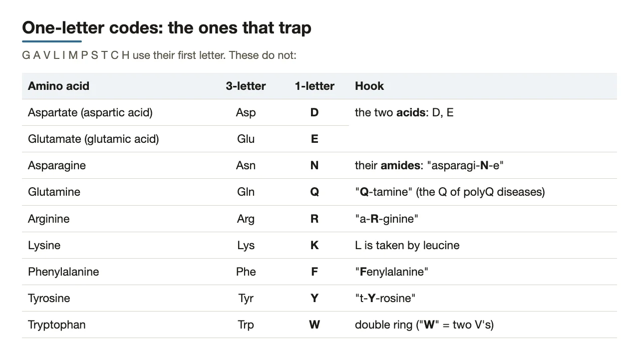 Bridge: the one-letter codes that trap: D, E, N, Q, R, K, F, Y, W