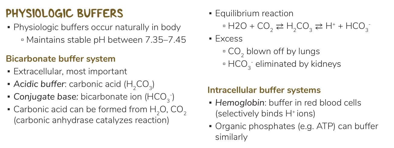 Osmosis notes: bicarbonate system, lung and kidney outlets, intracellular buffers.