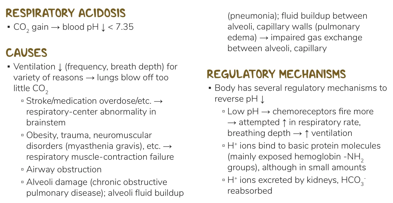 Osmosis notes: causes of reduced ventilation, from brainstem to alveoli.