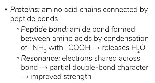 Osmosis notes: peptide bond and resonance giving partial double-bond character