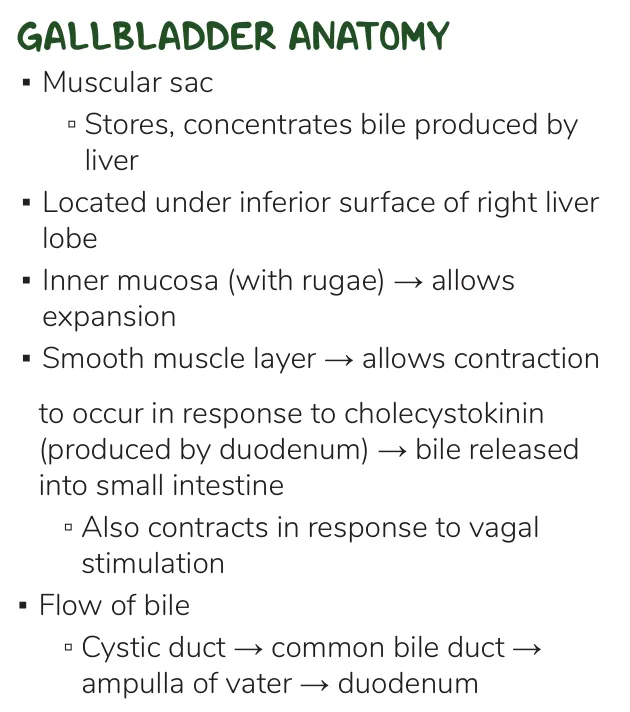 Osmosis notes: gallbladder stores, concentrates and releases bile on CCK