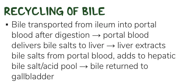 Osmosis notes: bile salts return from ileum in portal blood