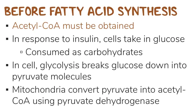 Osmosis: insulin brings glucose in; glycolysis, then pyruvate dehydrogenase makes acetyl-CoA.