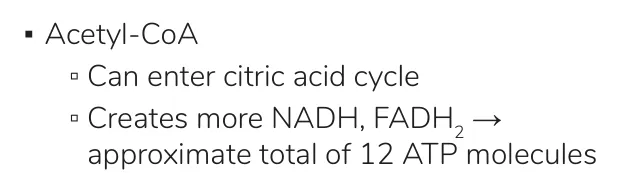 Osmosis notes: each acetyl-CoA through the citric acid cycle gives about 12 ATP