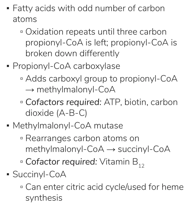 Osmosis notes: odd chains leave propionyl-CoA; cofactors biotin, then B12
