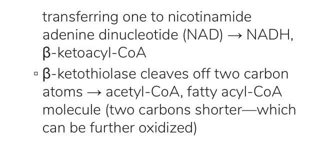 Osmosis notes: β-ketothiolase releases acetyl-CoA and a two-carbon-shorter acyl-CoA