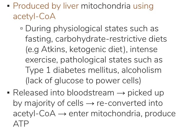 Osmosis notes: made in liver mitochondria from acetyl-CoA in fasting, diabetes, alcoholism