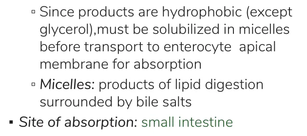 Osmosis notes: hydrophobic products need micelles to reach the enterocyte