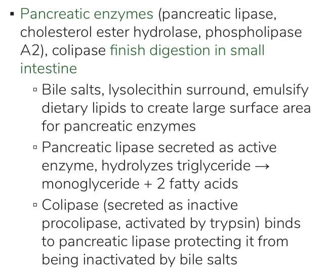 Osmosis notes: pancreatic lipase gives monoglyceride + 2 FA; colipase from procolipase