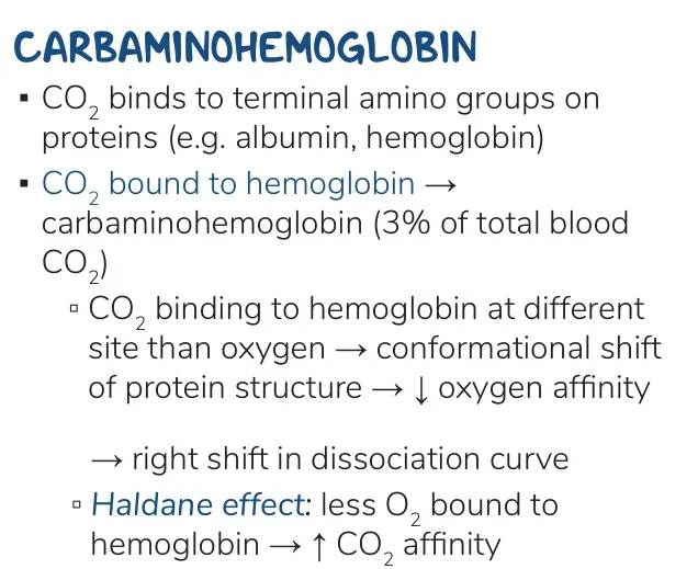 Osmosis notes: carbaminohaemoglobin forms at terminal amino groups and lowers O2 affinity.