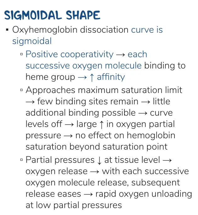 Osmosis notes: positive cooperativity makes the curve sigmoid; rapid unloading at low PO2.